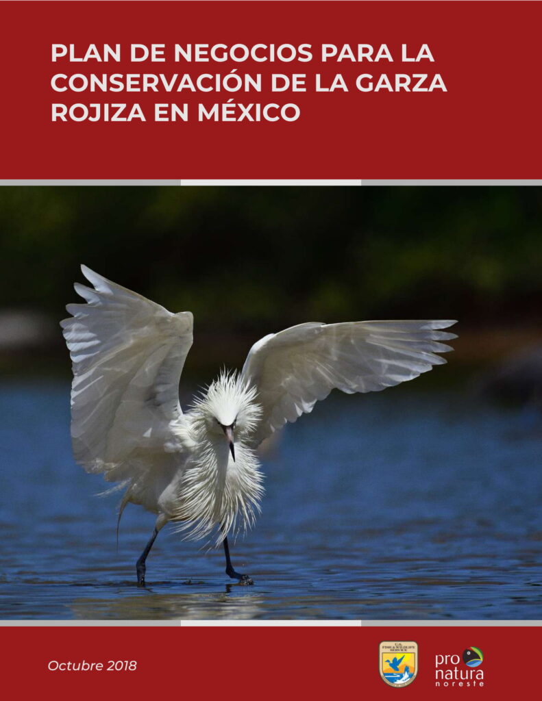 Publicaciones - Garza Rojiza